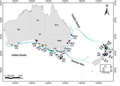 A Matter of Scale: Population Genomic Structure and Connectivity of Fisheries At-Risk Common Dolphins (Delphinus delphis) From Australasia